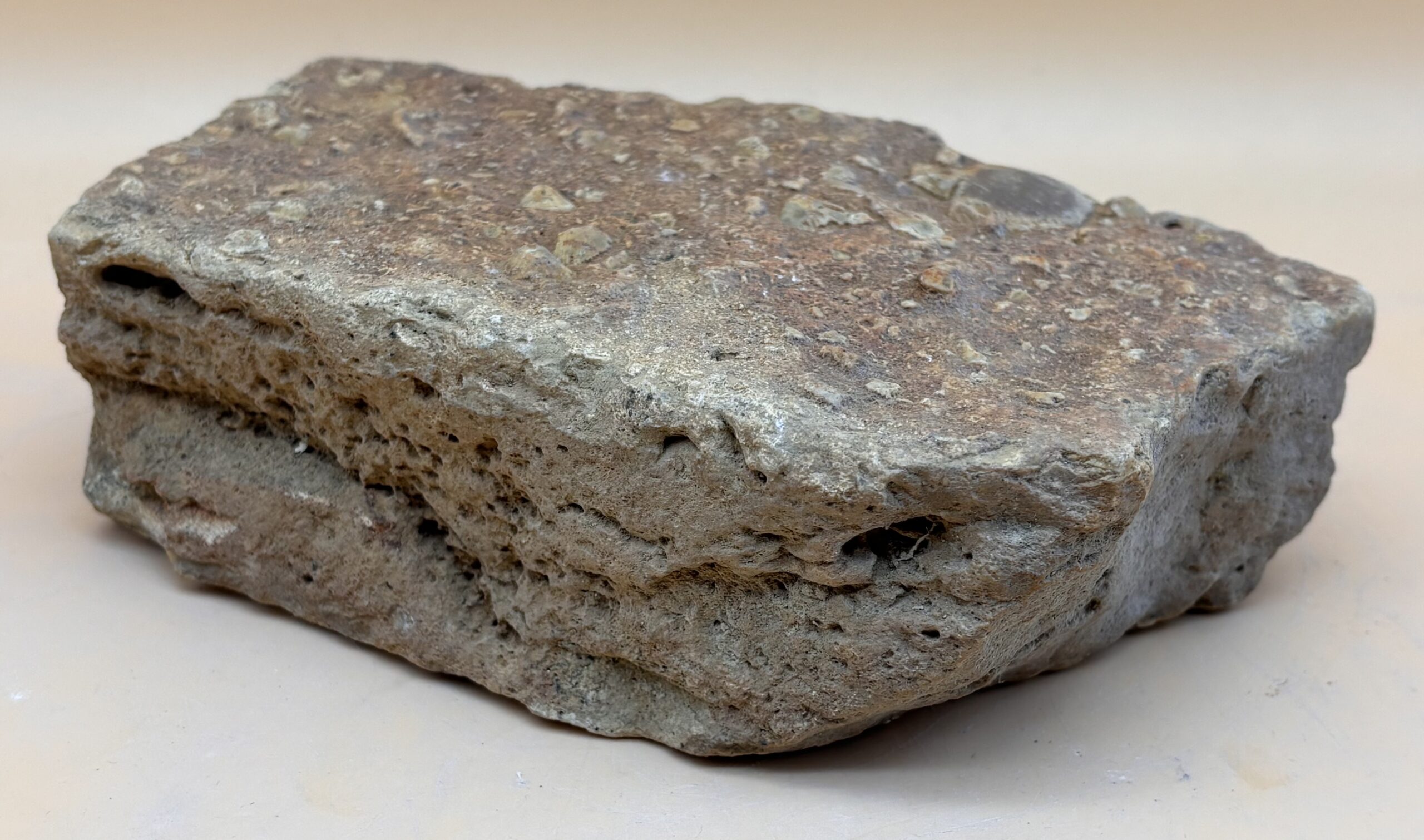 fossiler Meeresboden – Bild 2