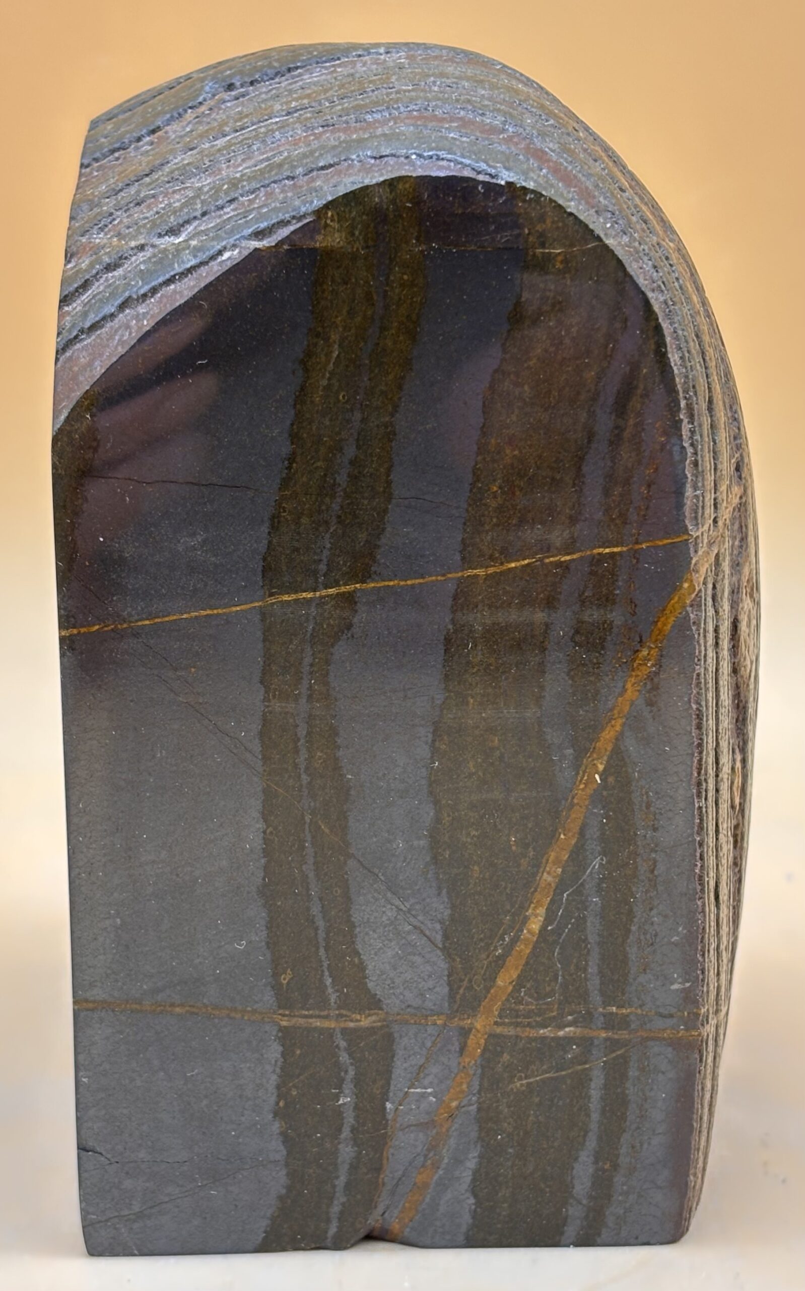 Tigereisen – Bild 3