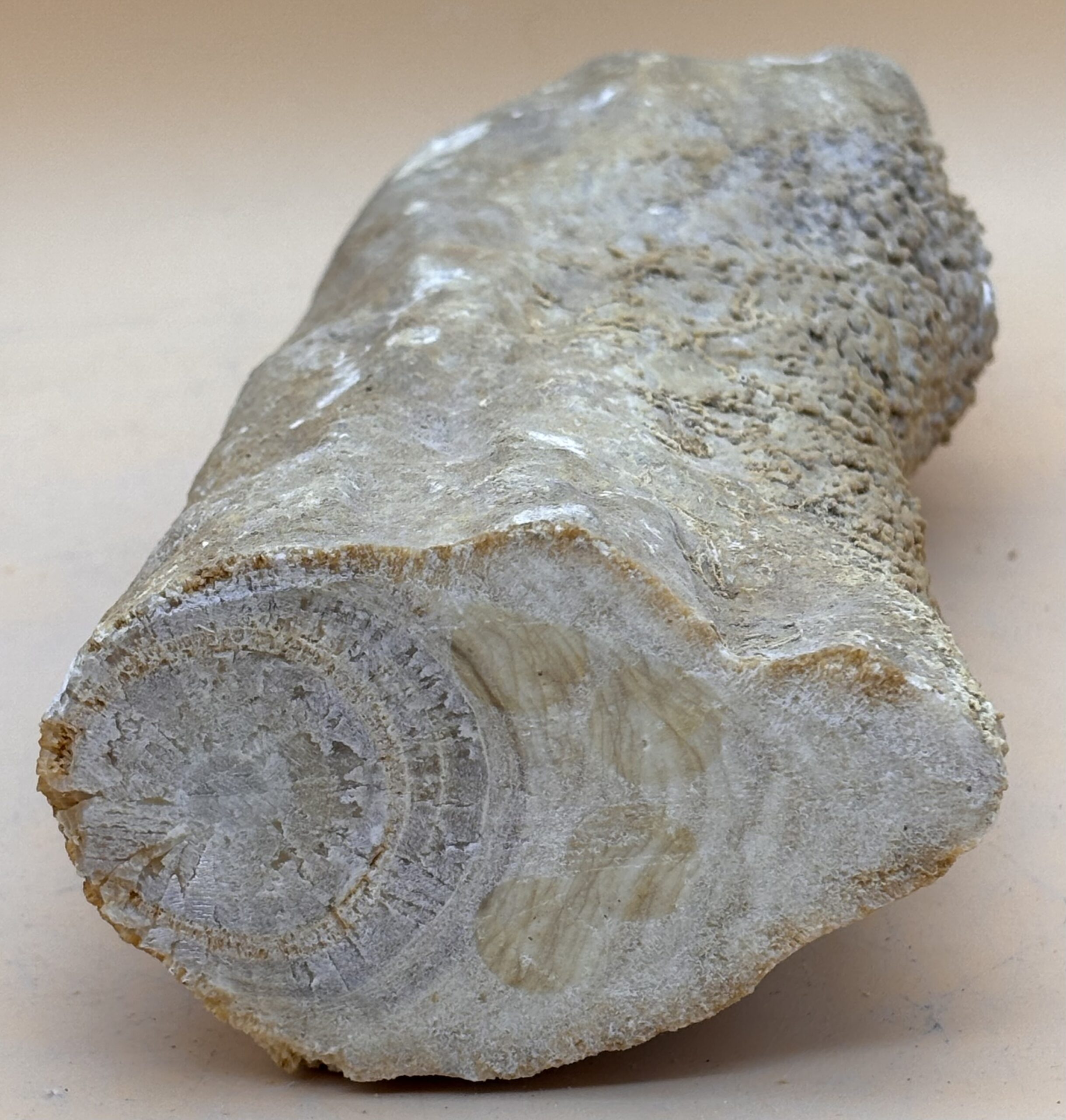 Stalaktit – Bild 3