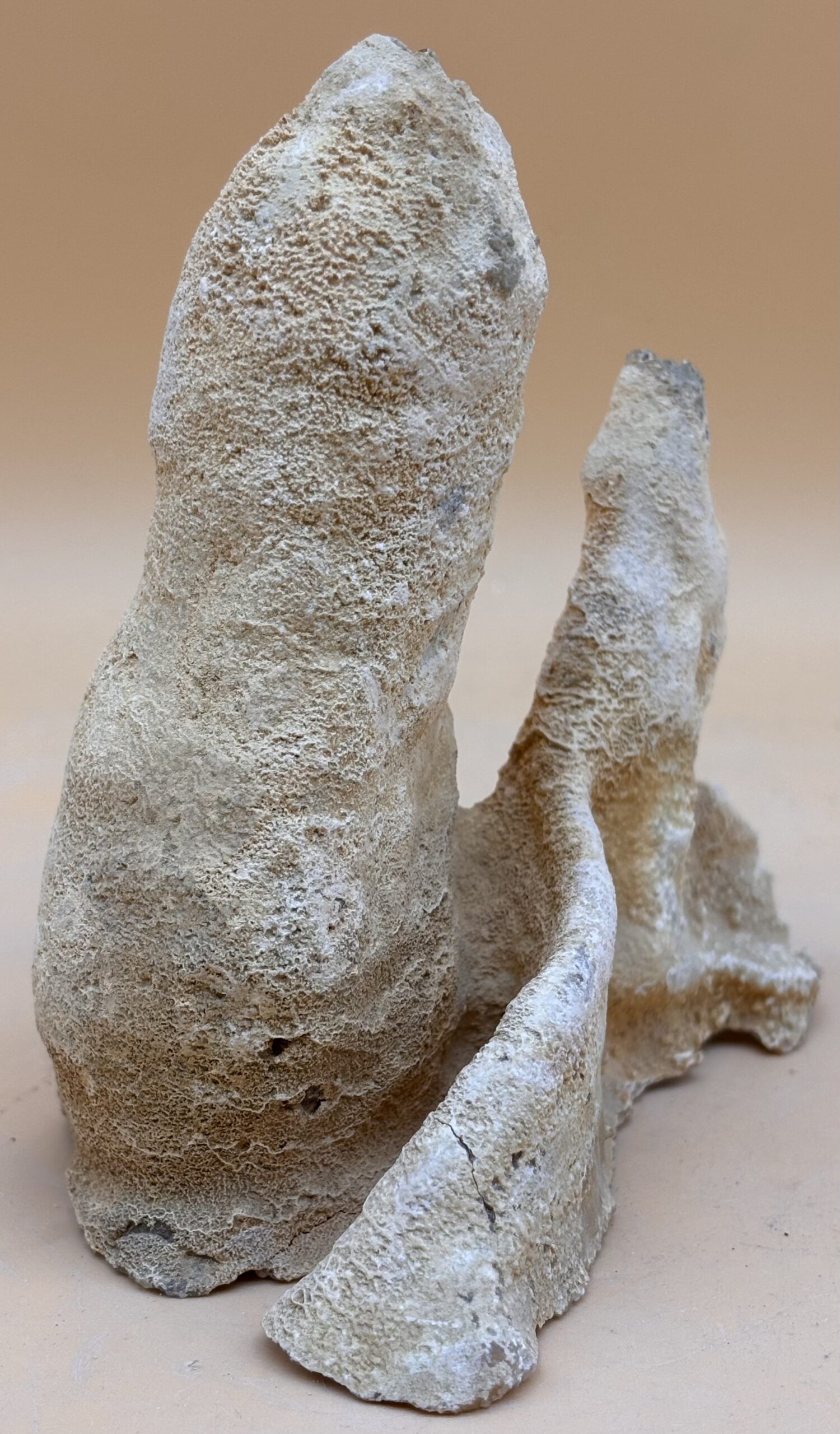 Tropfstein – Bild 2