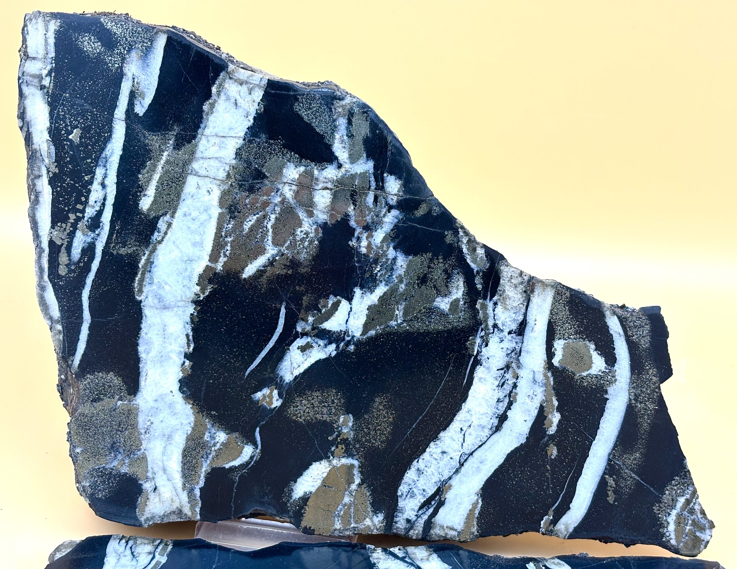 Nolla-Pyrit-Schiefer – Bild 3