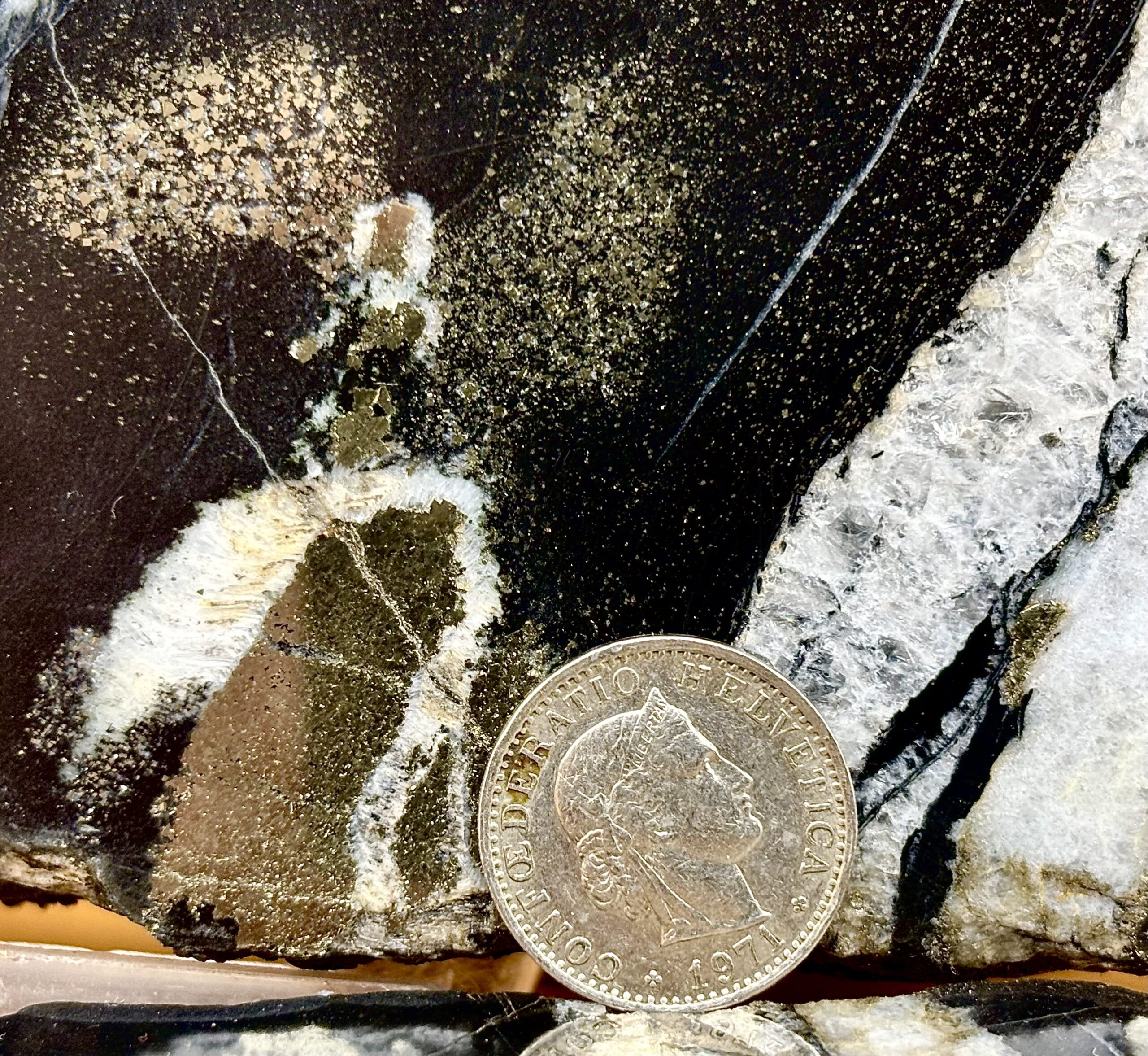 Nolla-Pyrit-Schiefer – Bild 2