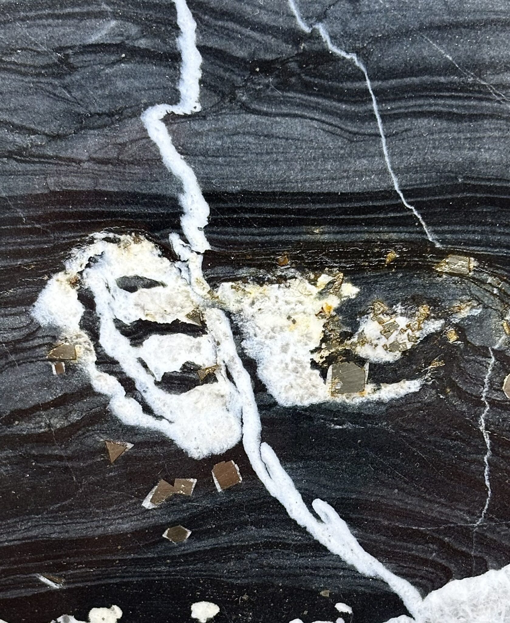 Nolla-Pyrit-Schiefer mit Karikatur – Bild 2